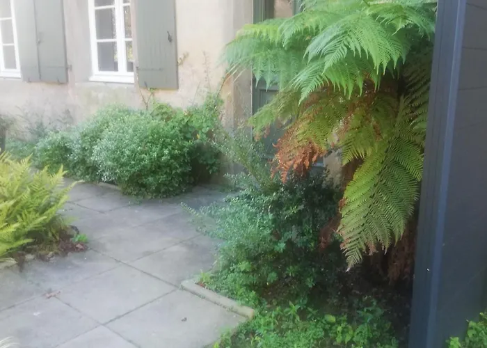 Bedat Cote Jardin * Labatut (Landes)